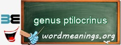 WordMeaning blackboard for genus ptilocrinus